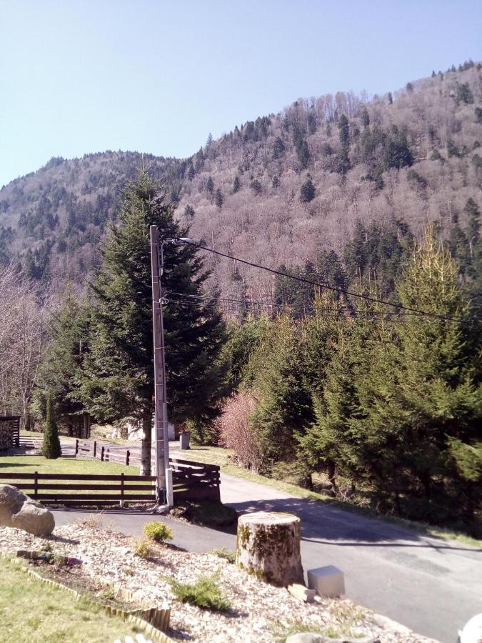 Вілла L Annexe Mittlach Екстер'єр фото